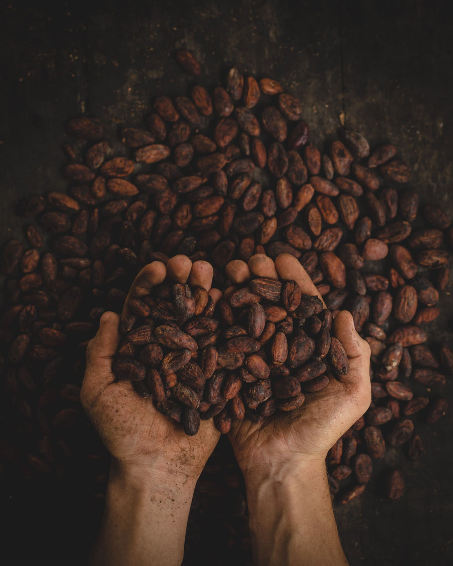 Beurre de cacao - Tout savoir à son sujet